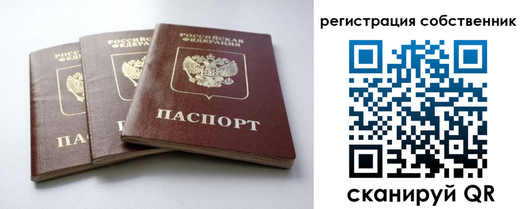 прописка для школы в Кашире